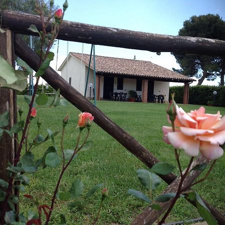 Agriturismo Belvedere Pescia Romana Ngoại thất bức ảnh
