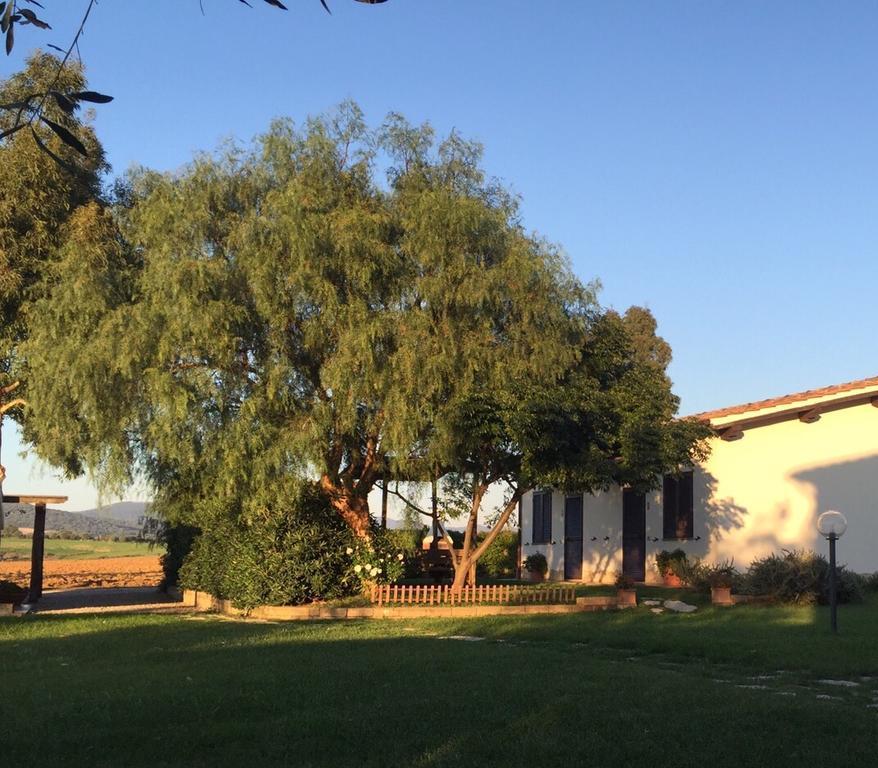 Agriturismo Belvedere Pescia Romana Ngoại thất bức ảnh