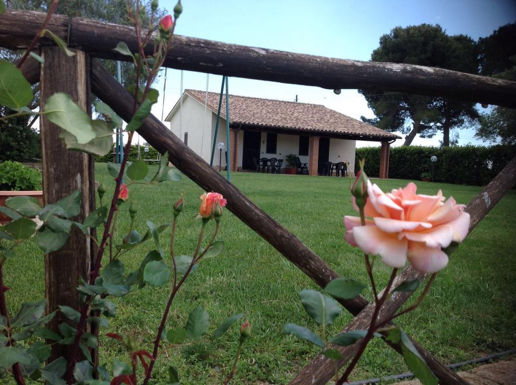 Agriturismo Belvedere Pescia Romana Ngoại thất bức ảnh