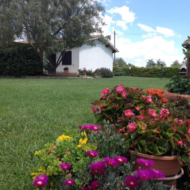 Agriturismo Belvedere Pescia Romana Ngoại thất bức ảnh